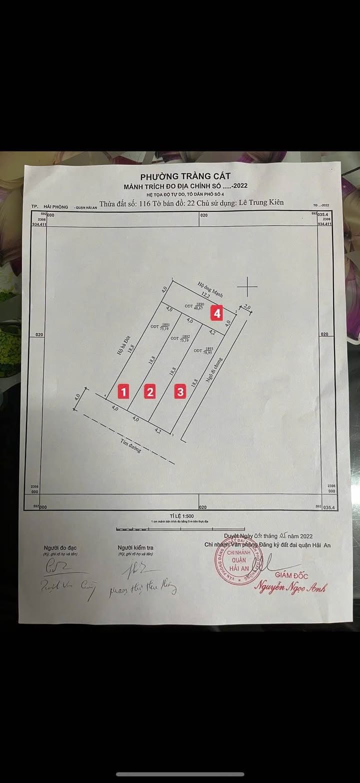 Đất nền Tràng Cát, Hải An 48m² giá 1.536 tỷ - Cơ hội đầu tư sinh lời hiếm có!