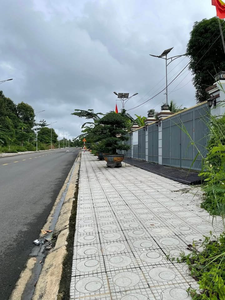 Đất mặt tiền Nguyễn Du, Tân Phú, 125m² giá 2.2 tỷ - Đầu tư sinh lời lý tưởng!