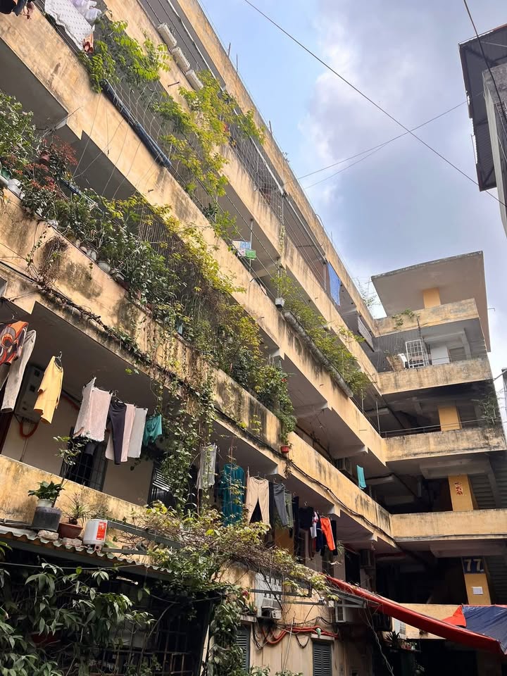 Căn hộ tập thể Tôn Đức Thắng 19m² giá 2.5 tỷ - Sổ đỏ chính chủ!