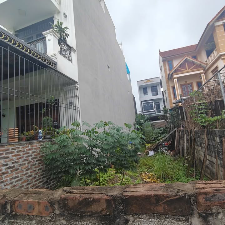 Đất thổ cư thôn Quất Động 99m² giá 6.567 tỷ - Đầu tư sinh lời hấp dẫn!