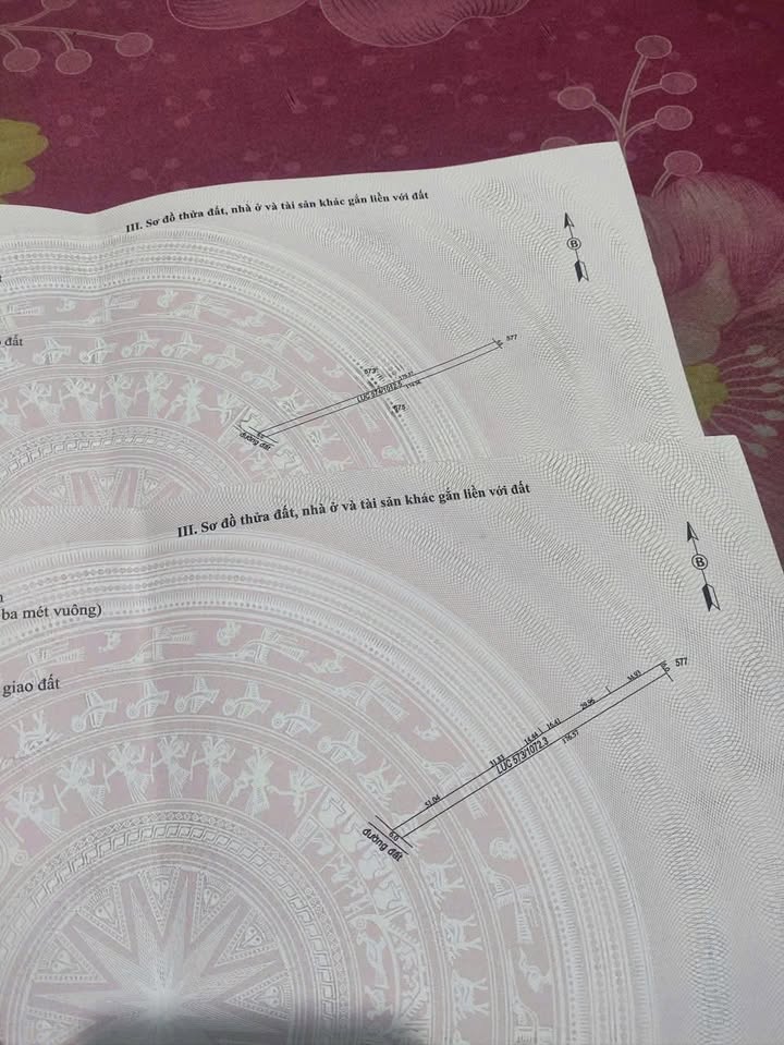 Đất nền Bình Lương, Châu Thành 2000m² giá chỉ 2xx triệu - Cơ hội đầu tư tuyệt vời!