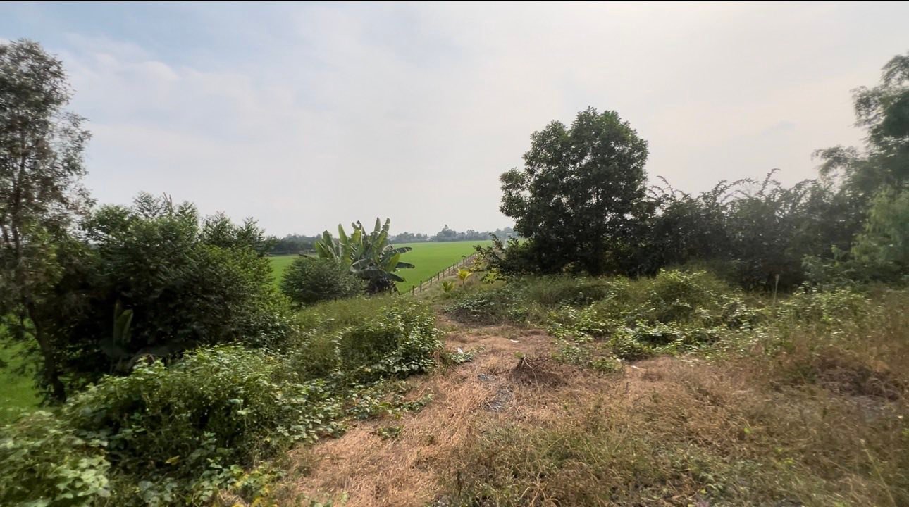 Đất nền mặt tiền Quốc lộ N2, Châu Thành, Tây Ninh 2600m² - Giá chỉ 3.399 tỷ, thương lượng nhẹ!