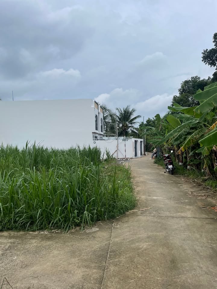 Đất nền 2 mặt tiền Ấp Mỹ Hòa, Mỹ Phong, 80m² giá 600 triệu - Đầu tư sinh lời!