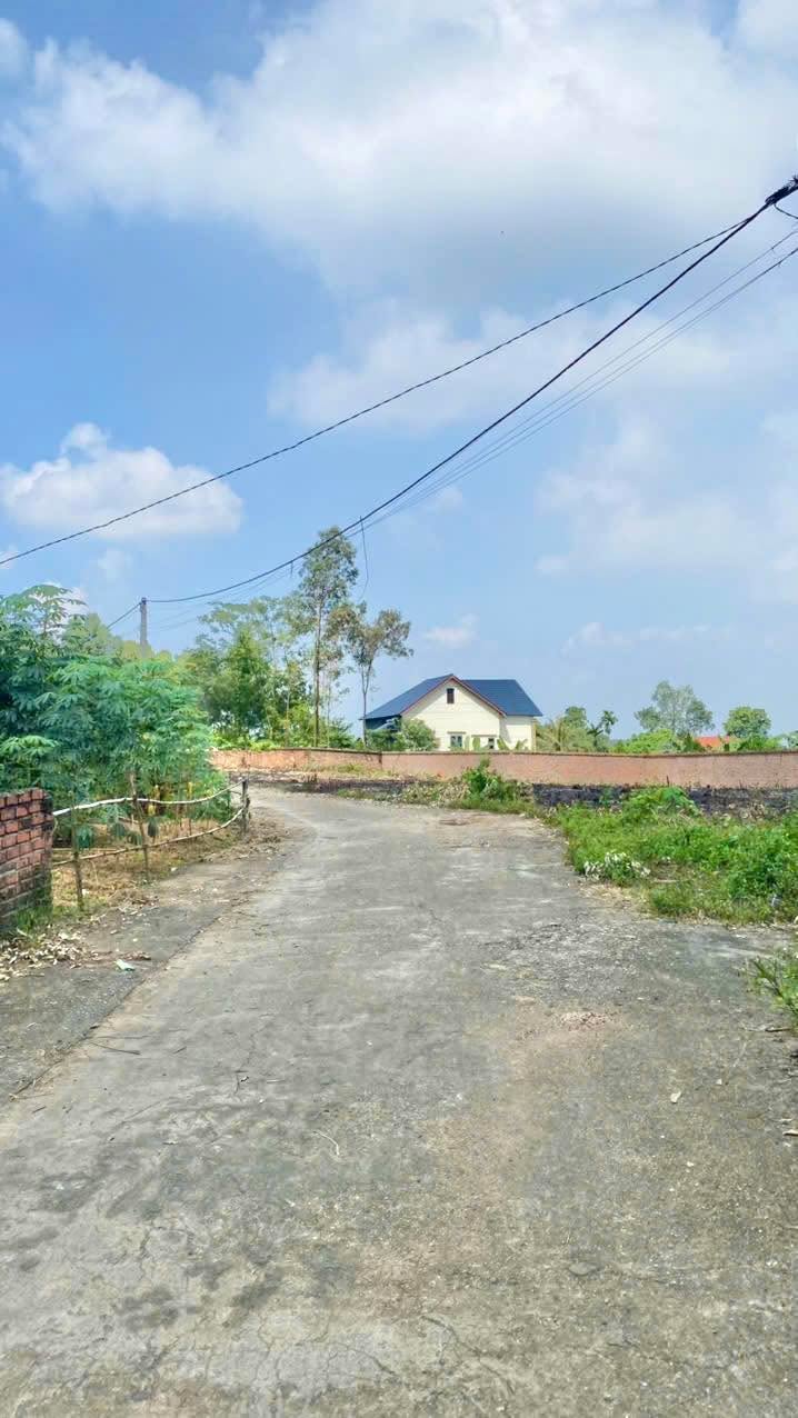 Bán đất khu 6 Chu Hóa, Việt Trì 181m² - Chính chủ, giá thỏa thuận!