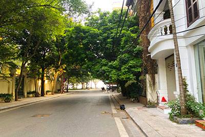 Mặt phố Quảng An Tây Hồ 343m² giá thỏa thuận - Đầu tư sinh lời đỉnh cao!