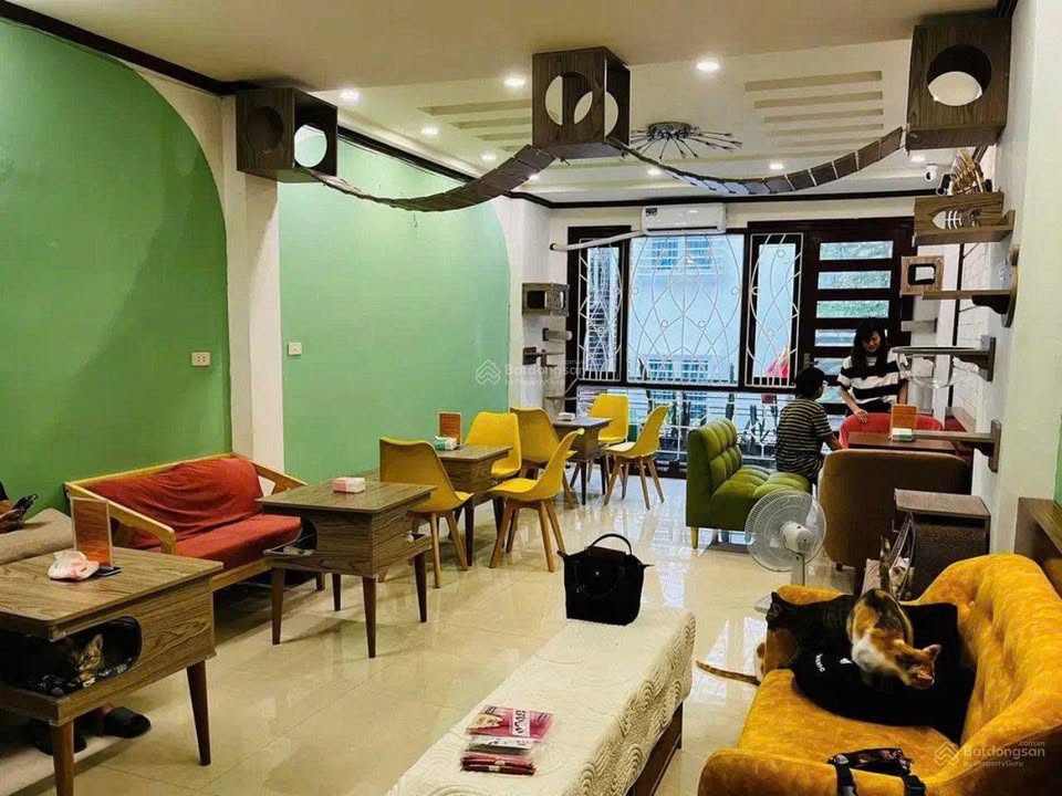 Nhà mặt phố Phạm Hồng Thái, Ba Đình 45m² giá 34 triệu - Cho thuê ngay!