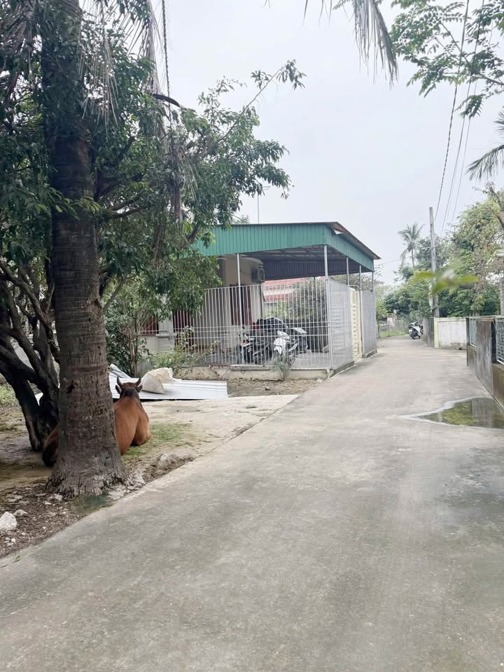 Đất thổ cư 200m² xã Khánh Hợp, huyện Nghi Lộc giá 1.78 tỷ - Chính chủ sang tên ngay!