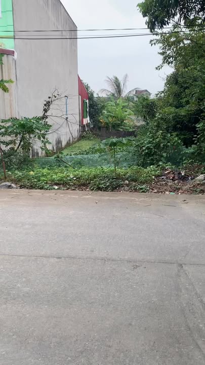 Đất liền kề Gia Phú, Ninh Bình 119.6m² giá 1.5 tỷ - Đầu tư sinh lời ngay!