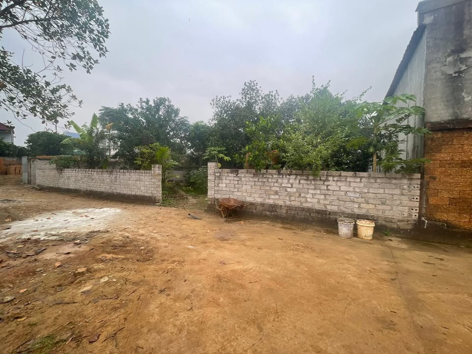 Đất thổ cư 242m² tại Bình Yên - Thạch Thất giá tốt - Đầu tư sinh lời ngay!