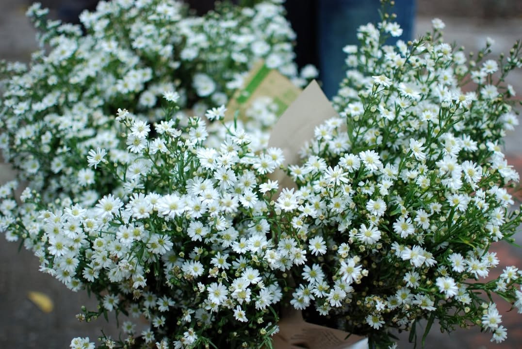 Căn hộ tập thể 2 phòng ngủ 85m² giá 3.2 tỷ - Cơ hội đầu tư hấp dẫn tại Thanh Trì!