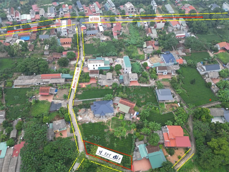 Đất nền 2 mặt tiền Sơn Hùng, Thanh Sơn 369.5m² - Kinh doanh cực tốt!