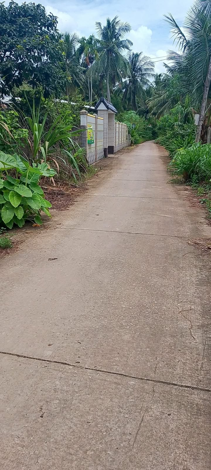 Đất nền mặt tiền lộ đal 3m tại ấp Bưng Cà Pốt, Sóc Trăng - Giá 230 triệu, thương lượng!