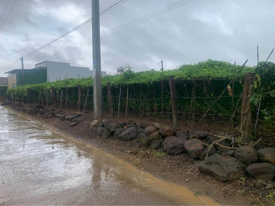 Đất nền Tân Hội, Đức Trọng 240m² giá 720 triệu - Gần chợ và trường học!