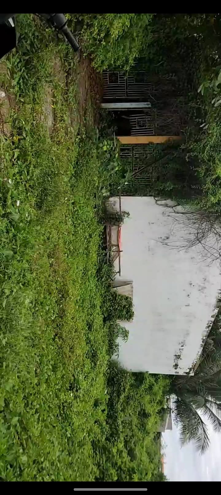 Đất thổ cư 96,8m² hẻm đường Thống Nhất, Phan Rang - Giá chỉ 1,2 tỷ, bớt lộc!