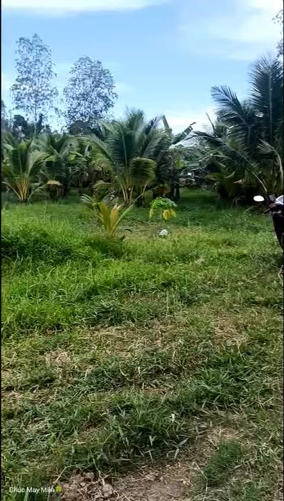 Đất nền 1 công 9 tại xã Mỹ Chánh Hòa, Bến Tre - Giá chỉ 400 triệu - Đầu tư sinh lời!