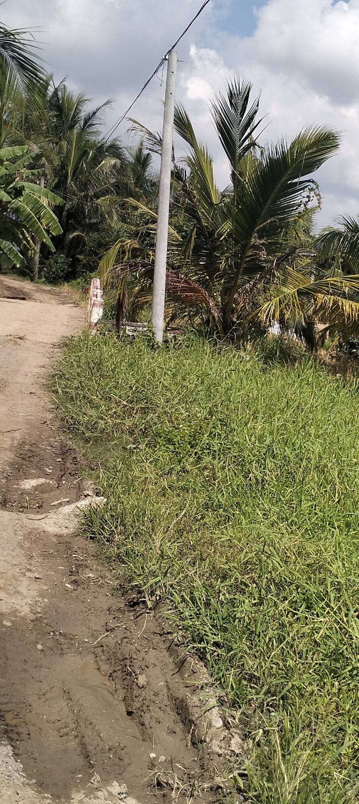 Đất nền An Ngãi Trung, Ba Tri, Bến Tre 630m² giá 290 triệu - Cơ hội đầu tư tuyệt vời!