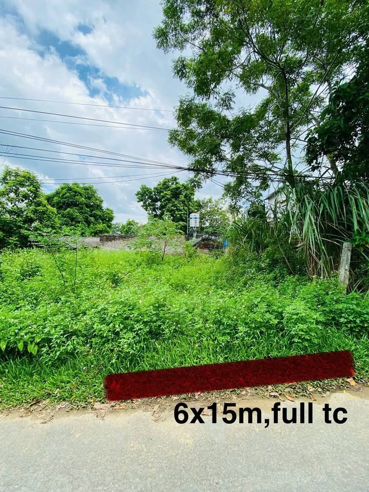 Đất nền phường Ỷ La Tuyên Quang 87m² giá 1.95 tỷ - Cơ hội đầu tư vàng!