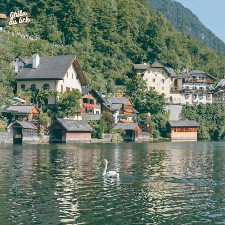 Đất nền 171m² tại đường Hà Huy Tập, phường Thành Sen - Giá chỉ 6 tỷ!