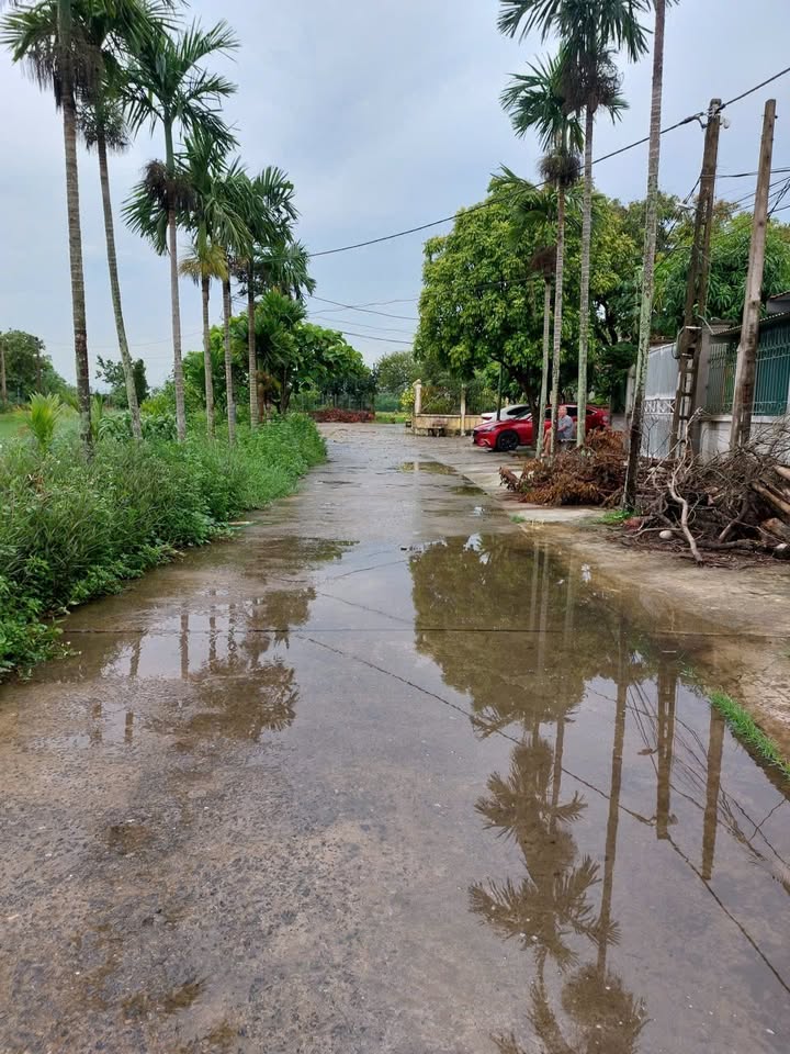 Nhà phố Tổ 8, Thị Trấn Lâm, Ý Yên, Nam Định 129m² - Gần trường học, giao thông thuận tiện!