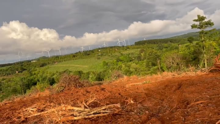 Đất thổ cư Ea H'leo 3,3ha giá thỏa thuận - Cơ hội đầu tư hiếm có!