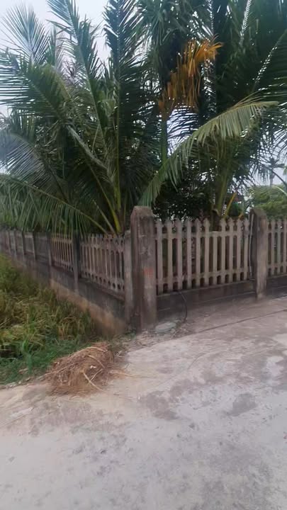 Đất thổ cư Nghĩa Hưng 1218m² giá 2.6 tỷ - Đầu tư sinh lời ngay!