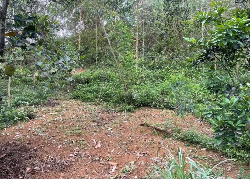 Đất nông nghiệp 3.360m² tại xã Liên Sơn, Lương Sơn, Hòa Bình - Cơ hội sở hữu giá tốt!