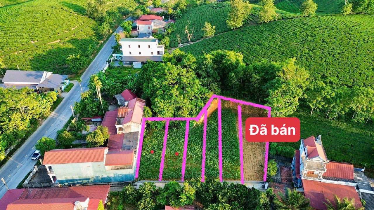 Đất nền Minh Hòa, Yên Lập 157m² - Giá thỏa thuận, sổ đỏ chính chủ!