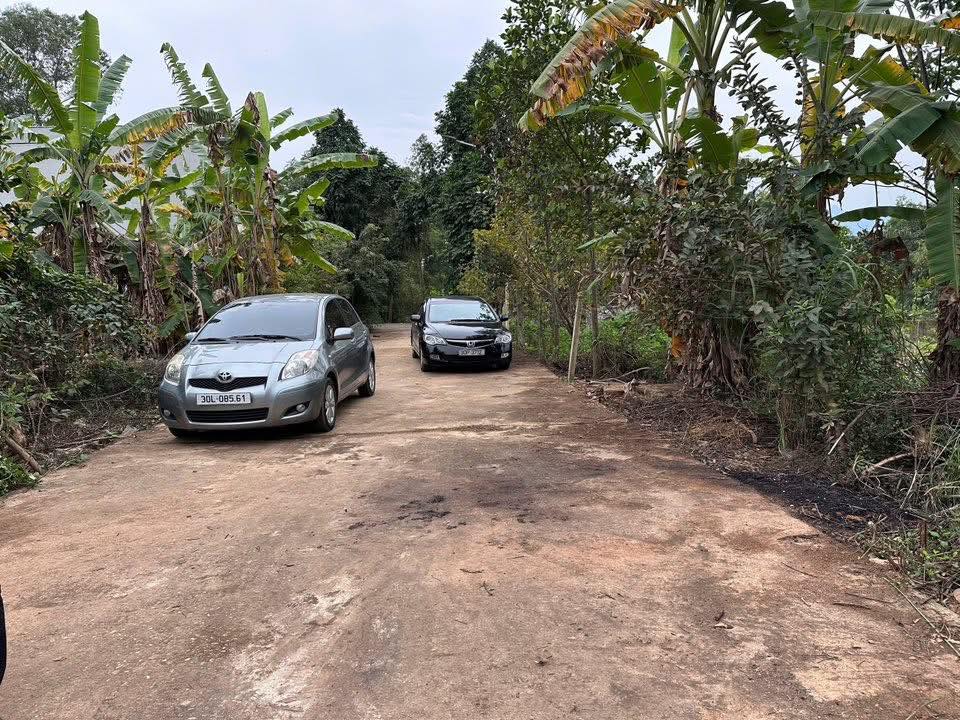 Đất nền Tùng Thiện, Sơn Tây 90m² giá 2 tỷ - Mặt tiền 4,5m, lô góc thoáng mát!