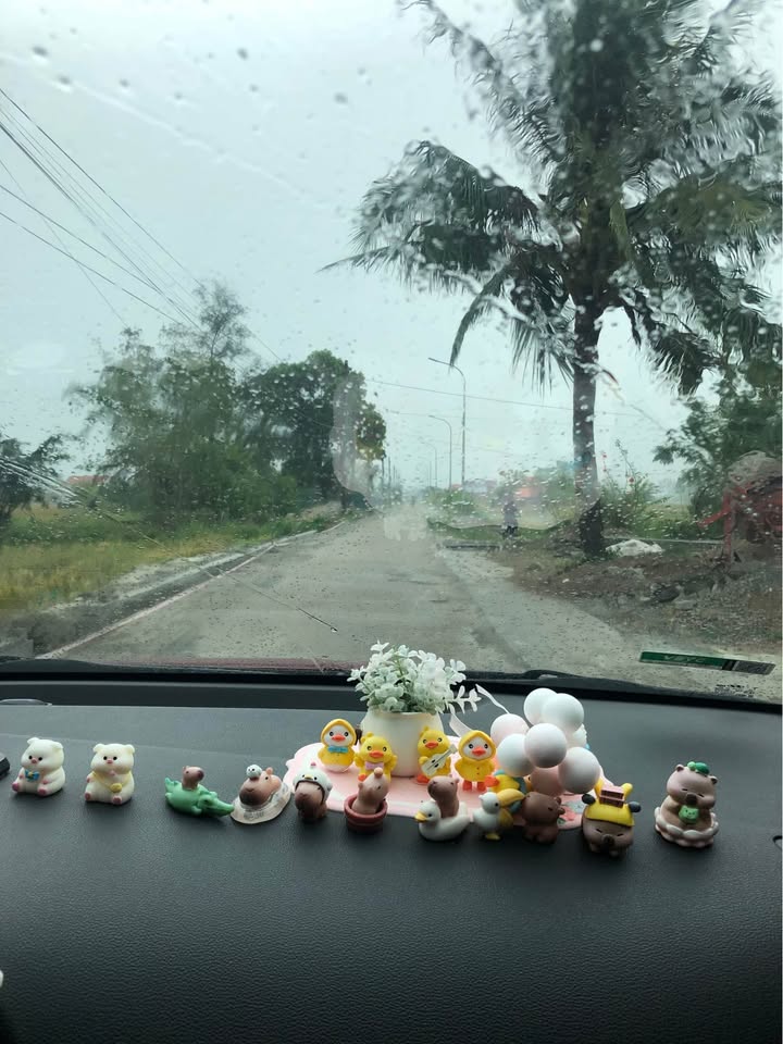 Đất nền Khu phố 3, Hải Đông 100m² giá chỉ 400 triệu - Cơ hội đầu tư hấp dẫn!