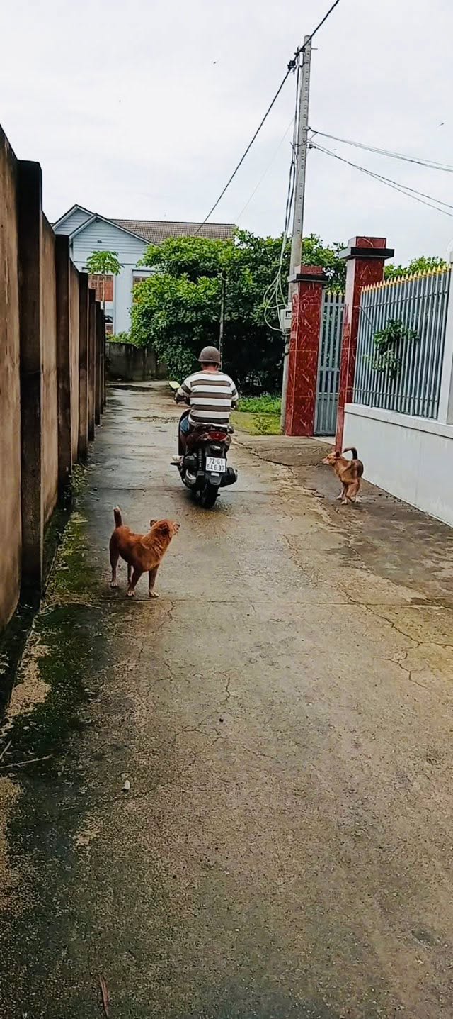 Đất nền chính chủ Xuyên Mộc 225m² giá thỏa thuận - Vị trí đắc địa gần biển Hồ Tràm!