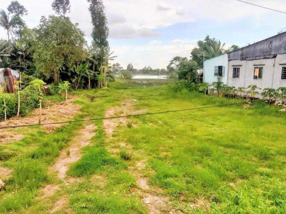 Đất thổ cư và CLN tại xã Long Giang, Chợ Mới, An Giang 2542m² - Giá chỉ 1,7 tỷ, thương lượng nhẹ!