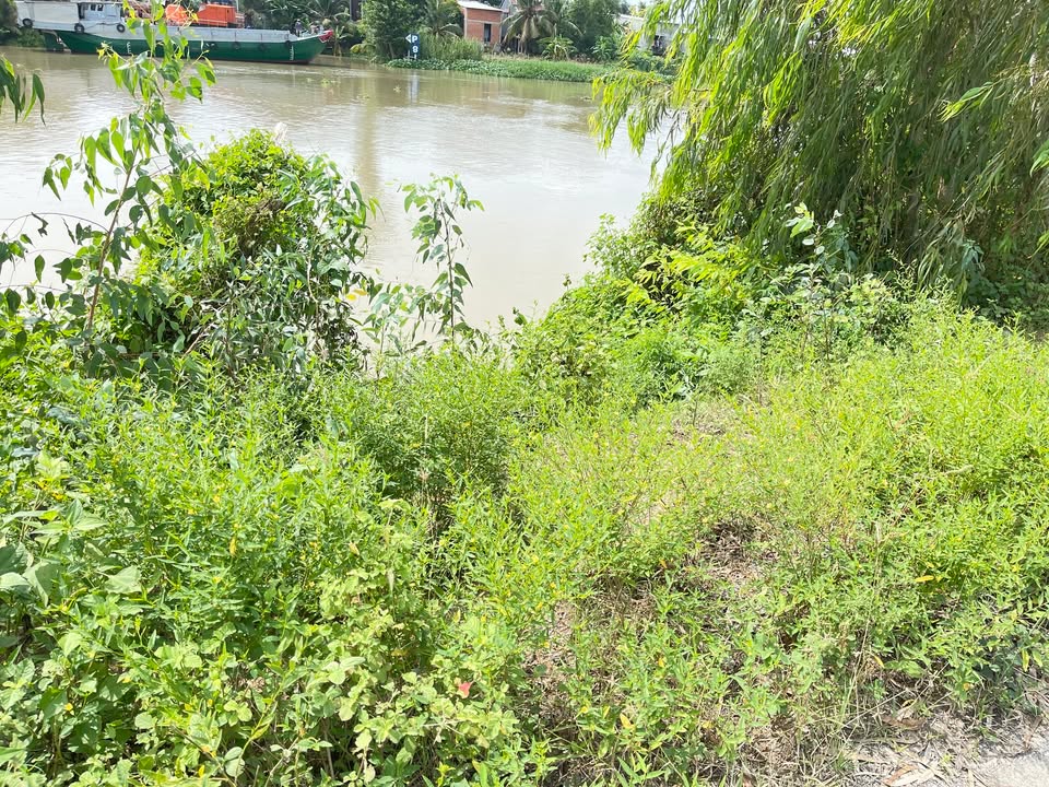 Farm 30.000m² tại An Phước, Tân Hồng - Chính chủ bán, giá thỏa thuận!