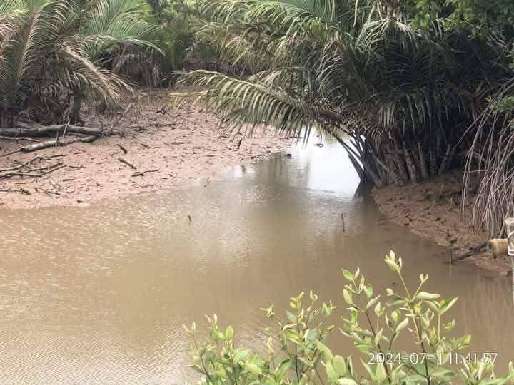 Đất nuôi trồng thủy sản 70.000m² tại Duyên Hải, Trà Vinh - Giá 5.6 tỷ - Đường xe 2 bánh tới nơi!