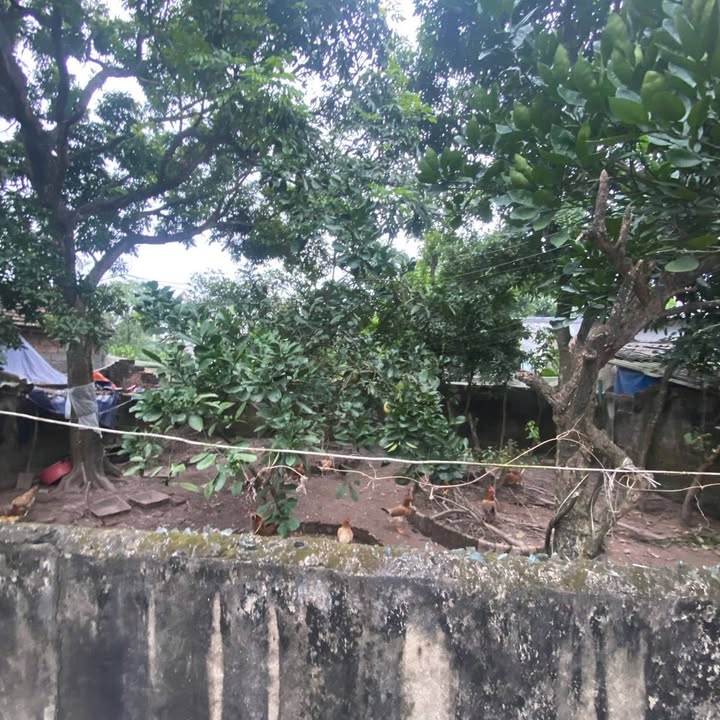 Đất nền Lệ Thủy, Trác Văn 100m² giá 1.2 tỷ - Lô góc đẹp, đầu tư sinh lời!