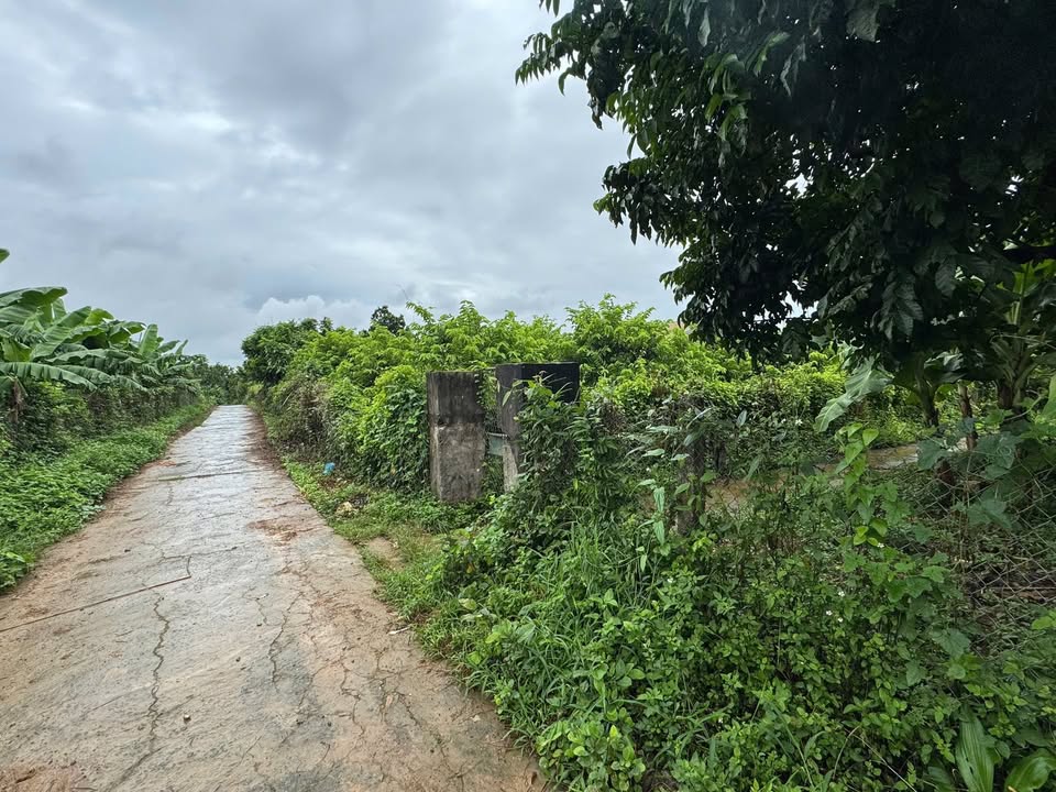 Đất thổ cư Tây Phong, Cao Phong 1800m² - Bám mặt đường, giá thỏa thuận!