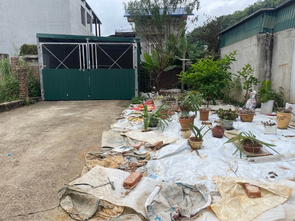 Đất Biệt Thự Khu Phố 9, Quyết Thắng 117m² giá 1 tỷ - Đầu tư lý tưởng!