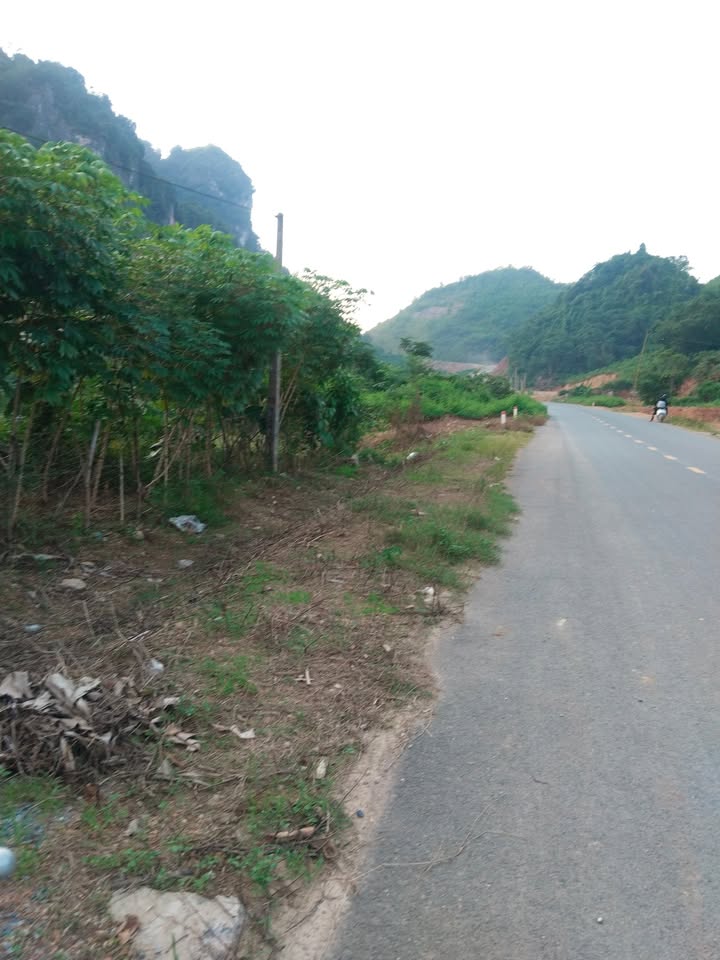 Đất nền Kim Bôi 1000m² giá 1 tỷ - Cơ hội đầu tư vàng!