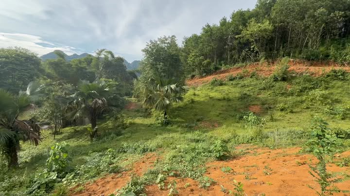 Đất nghỉ dưỡng Kim Bôi 3000m² giá 2.2 tỷ - View hồ tuyệt đẹp!