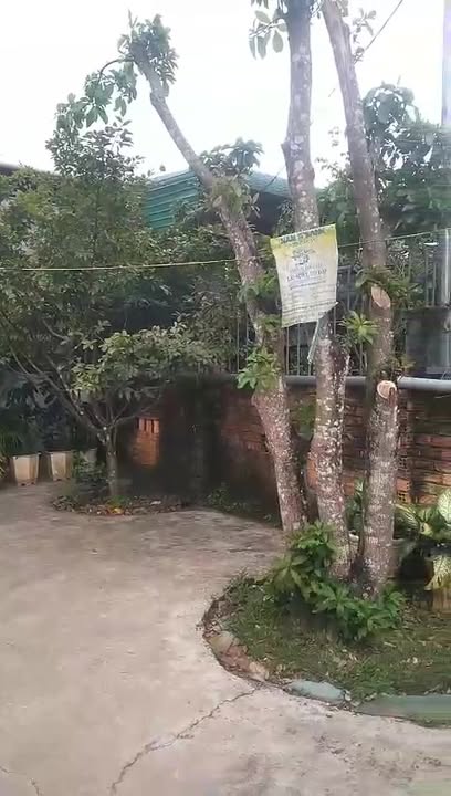 Nhà mặt tiền kinh doanh tại Tân Thành, Đắk Nông 450m² giá 2.5 tỷ - Cơ hội đầu tư tuyệt vời!