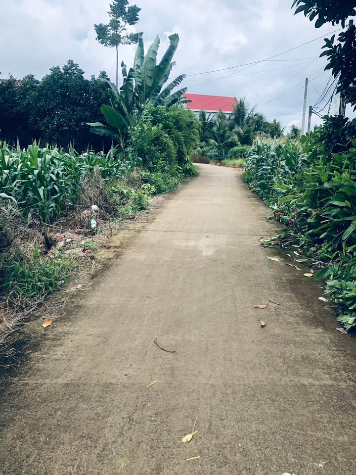 Đất thổ cư Tâm Thắng, Krông Nô 300m² giá 360 triệu - Gần chợ chiều thuận lợi!