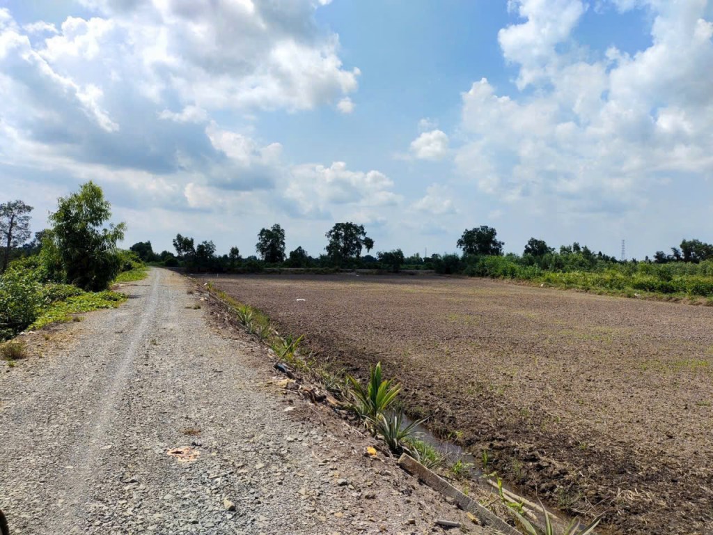 Bán đất nông nghiệp mặt tiền kênh 13.309m² tại Thủ Thừa, giá 7,8 tỷ - Đầu tư sinh lời ngay!