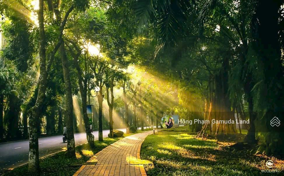 Căn hộ Diamond Centery tại Celadon City 120.7m² giá 10.2 tỷ - Cơ hội đầu tư tuyệt vời!