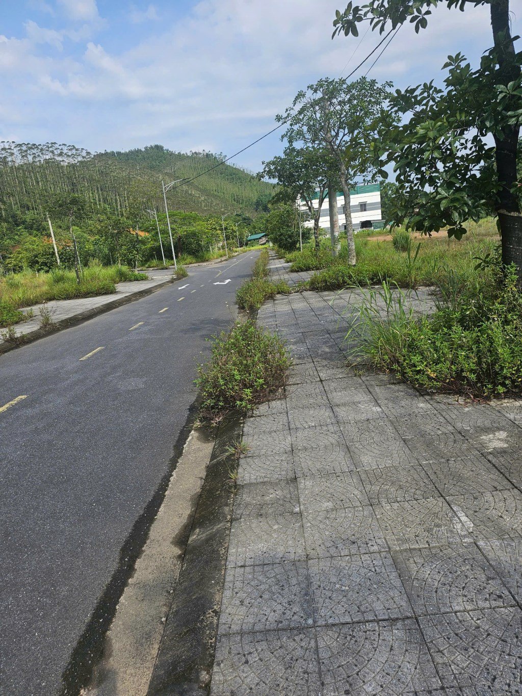 Lô đất đẹp khu Bến Sơn, Thị Trấn Yên Lập, 198m² giá 6 tỷ - Đầu tư sinh lời bền vững!