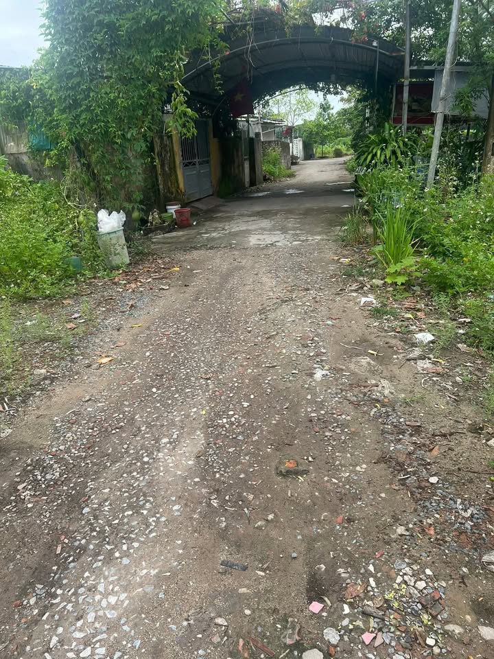 Đất nền Khu 8 Hải Hòa 200m² giá chỉ 1 tỷ - Cơ hội đầu tư tuyệt vời!