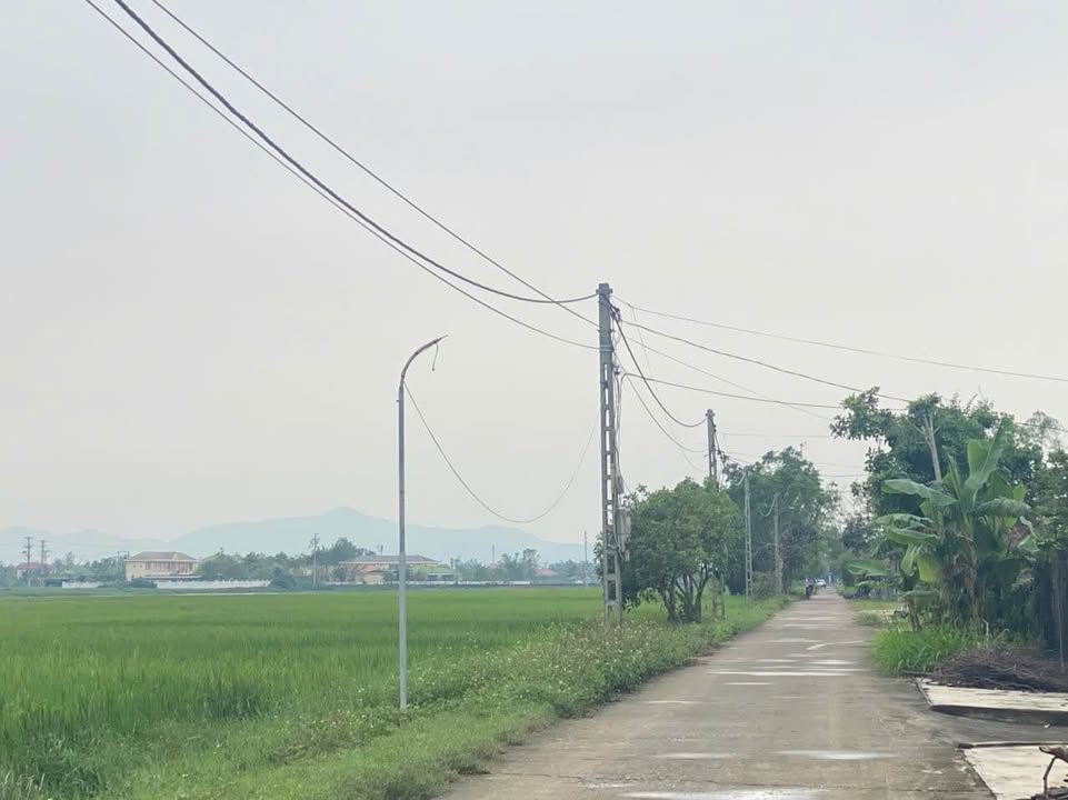 Đất nền lô góc 2 mặt tiền Trường Phú, Nghi Trường 100m² - Giá chỉ 1.1 tỷ!