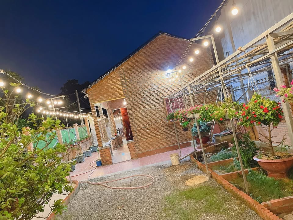 Nhà vườn nghỉ dưỡng Củ Chi 323m² giá 3.8 tỷ - Không gian xanh mát lý tưởng!