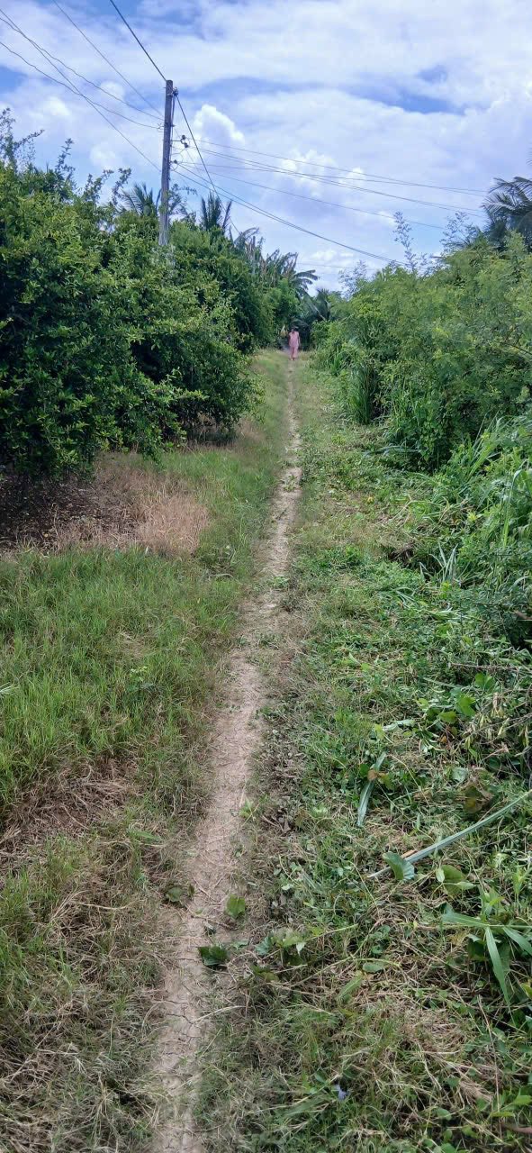 Đất vườn Kiểng Phước, Gò Công Đông 391m² giá 230 triệu - Cơ hội đầu tư tuyệt vời!