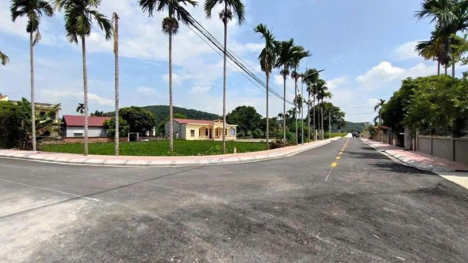 Đất nền Tân Dân, An Lão 70m² chỉ 900 triệu - Vị trí đắc địa, tiện ích đầy đủ!