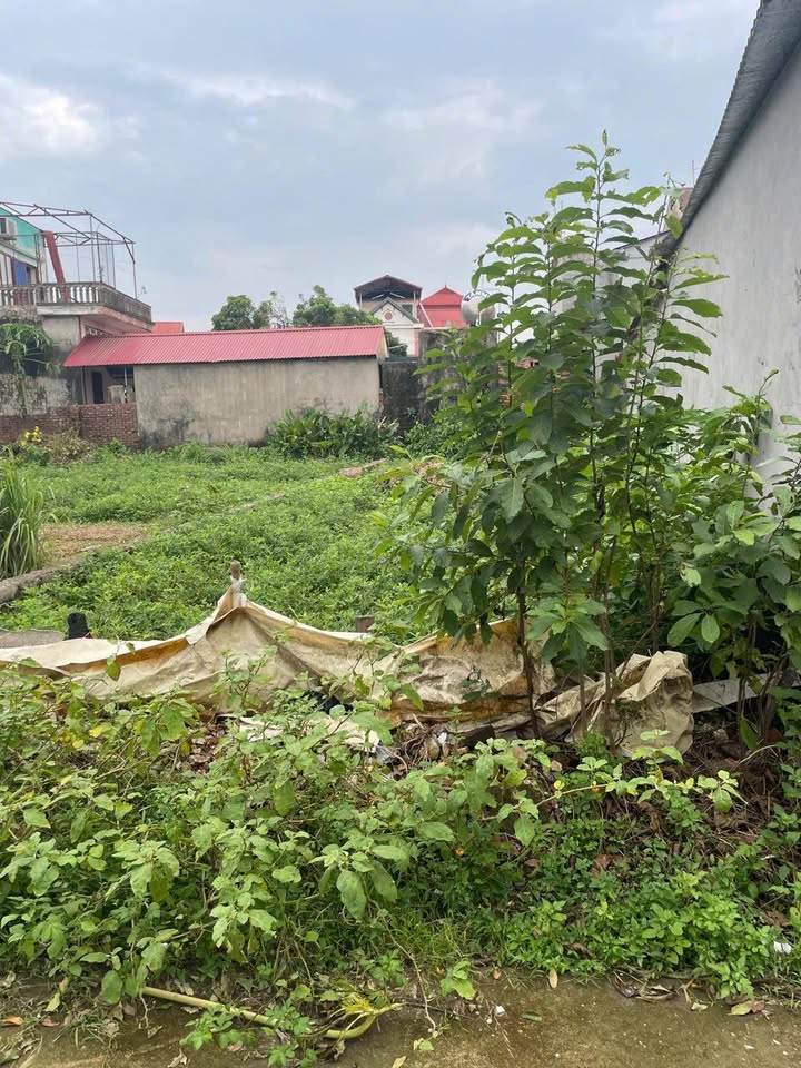 Đất nền Bồng Lai, Quế Võ, Bắc Ninh 100m² - Cơ hội đầu tư sinh lời ngay!