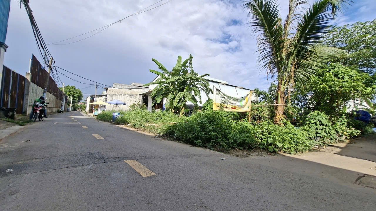 Đất nền Bình Chánh 254m² giá 6.8 tỷ - Hai mặt tiền thông thoáng, tiềm năng tăng giá cao!